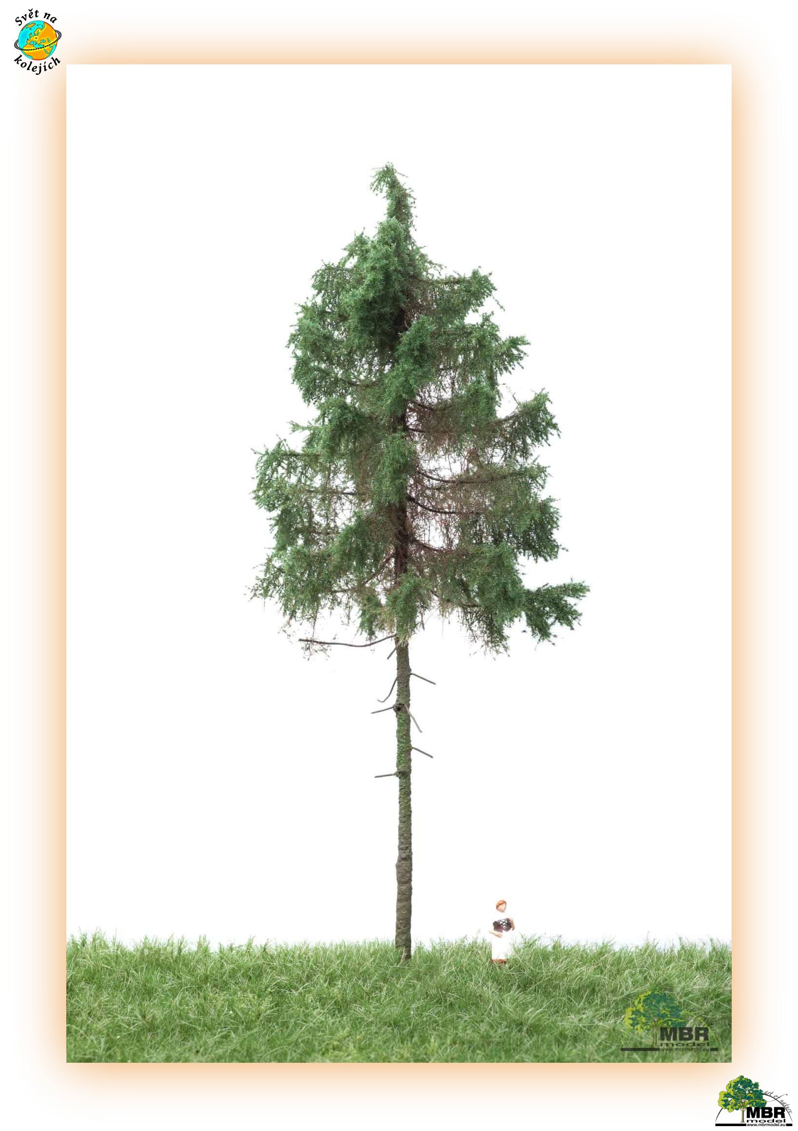 MBR 51-4305 H0 - SMRK, NA KMENI 18-22cm
